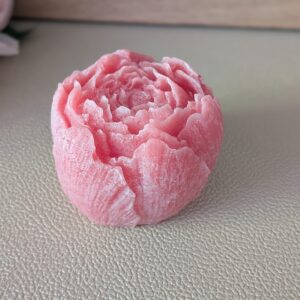 peony blossom 🌸🩷